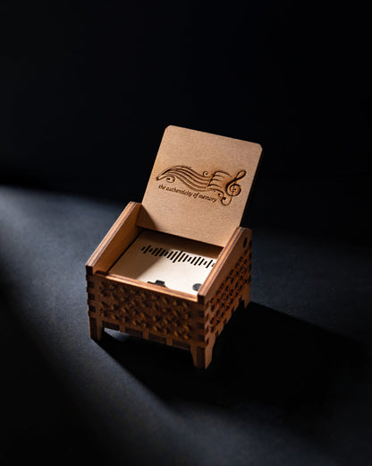 ECHOVERSE BOX