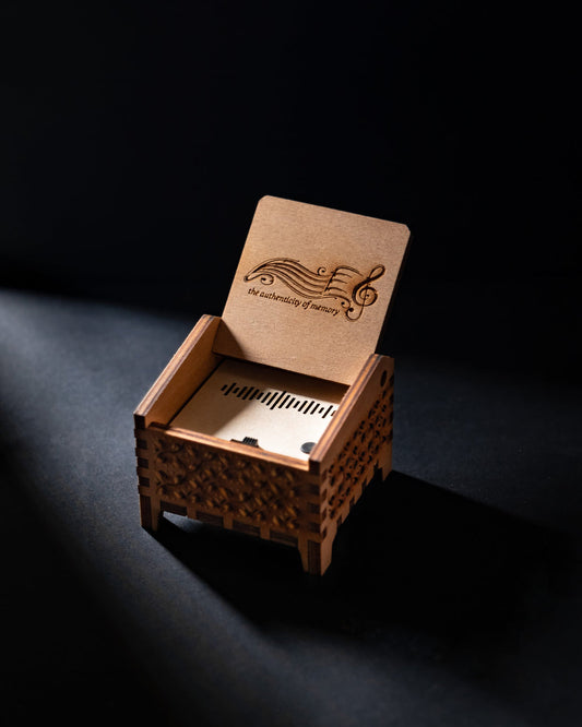 ECHOVERSE BOX